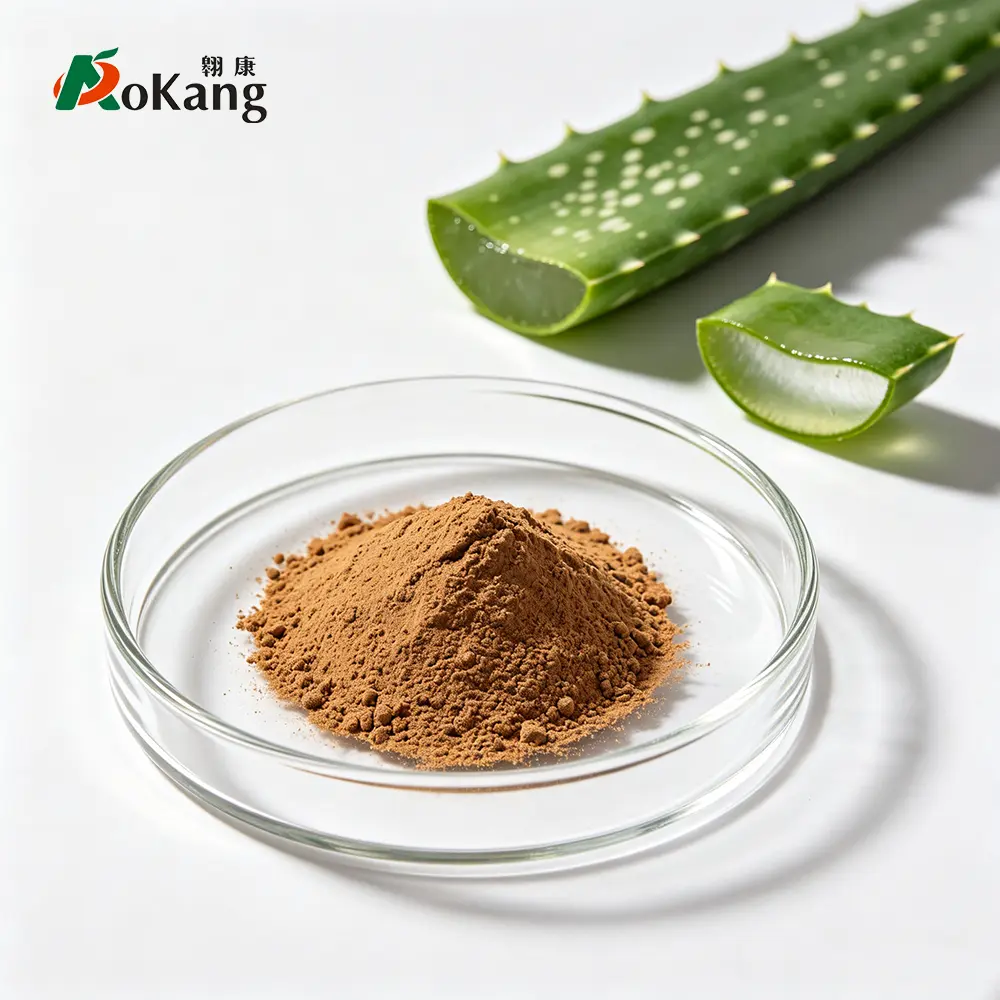 Bulk Aloe Vera Extract Powder